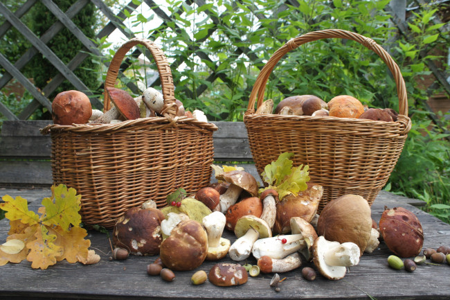 Обои картинки фото еда, грибы,  грибные блюда, корзины