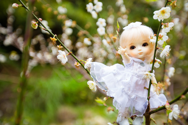 Обои картинки фото разное, игрушки, кукла
