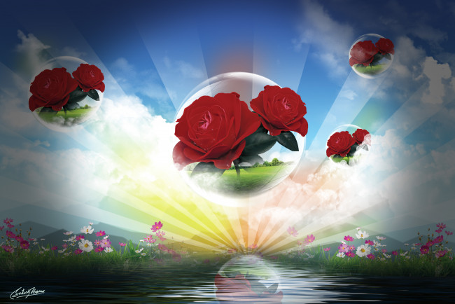 Обои картинки фото разное, компьютерный дизайн, розы, лучи, облака
