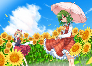Картинка аниме touhou kazami yuuka medicine melancholy