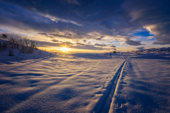 Картинка природа зима снег