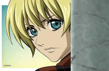 Картинка аниме togainu+no+chi rin