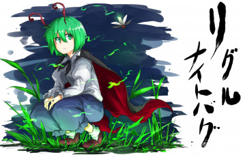 Картинка аниме touhou wriggle nightbug