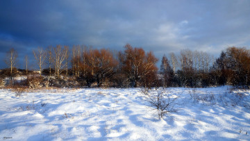 Картинка природа зима снег деревья