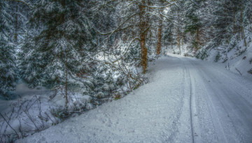 Картинка природа зима снег