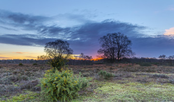 Картинка природа пейзажи простор