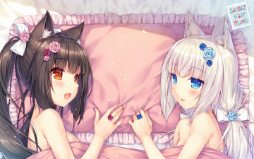 Картинка аниме nekopara девушки взгляд фон