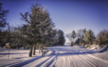 Картинка природа зима снег