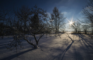 Картинка природа зима снег