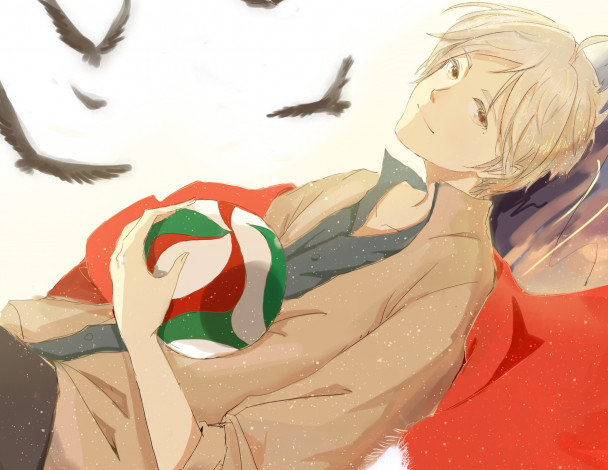 Обои картинки фото аниме, haikyuu, sugawara, koushi