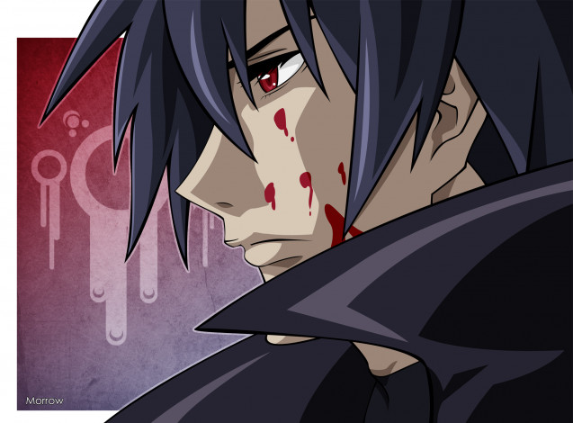 Обои картинки фото аниме, togainu no chi, shiki