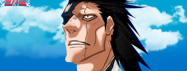 Обои картинки фото аниме, bleach, zaraki, kenpachi
