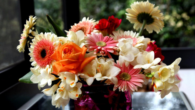 Обои картинки фото цветы, букеты,  композиции, роза, фрезии, герберы