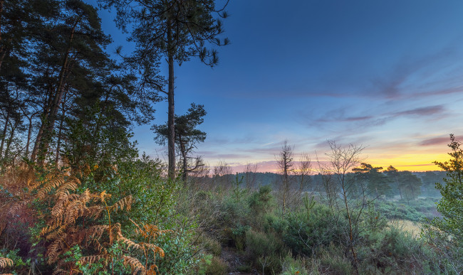 Обои картинки фото природа, пейзажи, простор