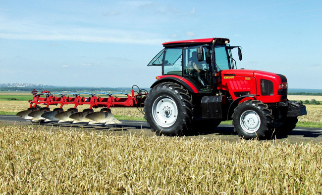 Обои картинки фото техника, тракторы, mtz