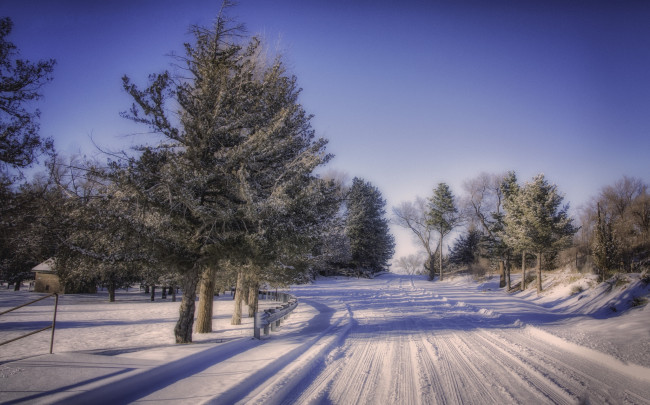 Обои картинки фото природа, зима, снег