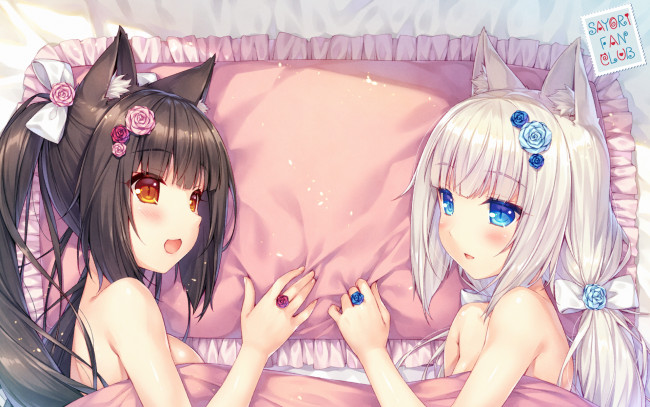 Обои картинки фото аниме, nekopara, девушки, взгляд, фон