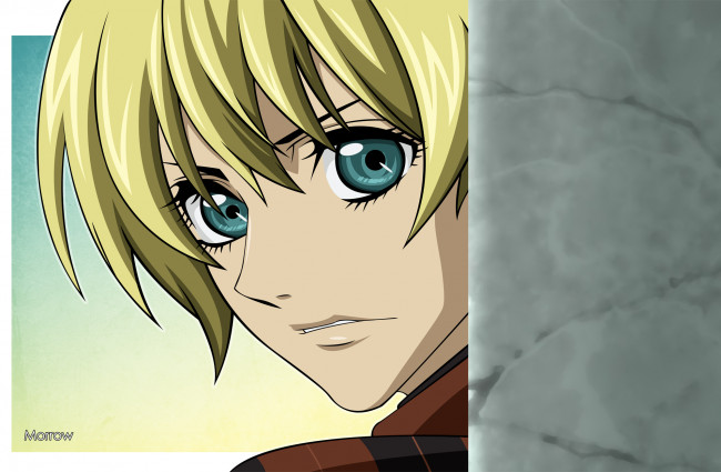 Обои картинки фото аниме, togainu no chi, rin