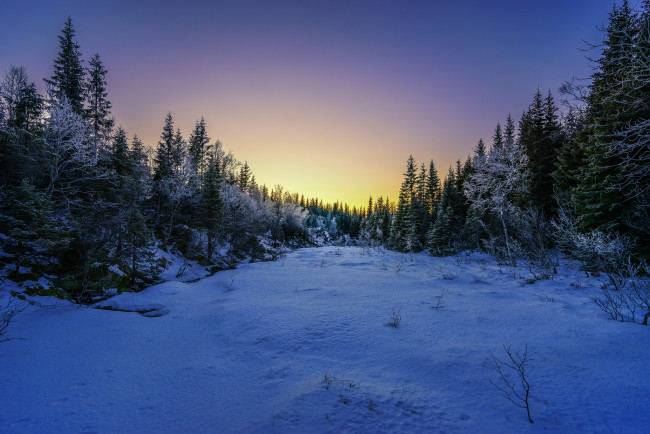 Обои картинки фото природа, зима, снег