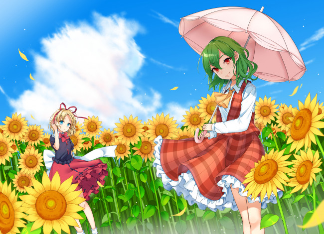 Обои картинки фото аниме, touhou, kazami, yuuka, medicine, melancholy