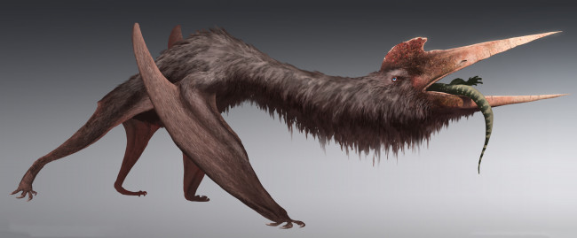 Обои картинки фото фэнтези, существа, животное, клюв, фон