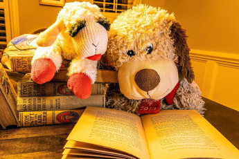 Картинка разное игрушки книги мягкие