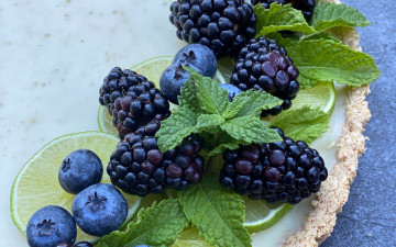 Картинка еда фрукты +ягоды мята черника ежевика ягоды