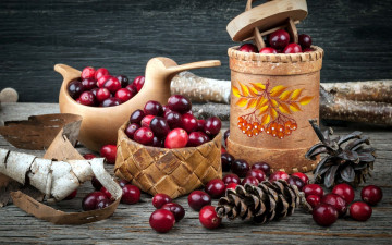 Картинка еда клюква шишки ягоды