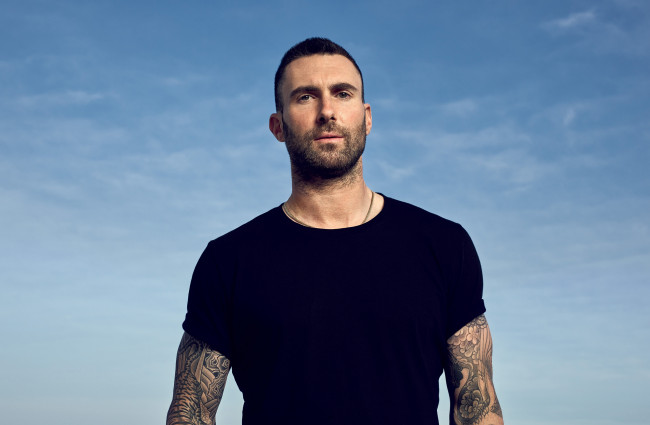 Обои картинки фото adam levine, музыка, -другое, adam, levine