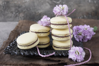 Картинка еда макаруны лакомство печенье