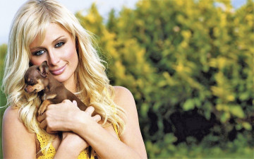 Картинка девушки paris+hilton блондинка лицо собака