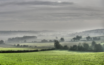 Картинка природа поля деревья туман