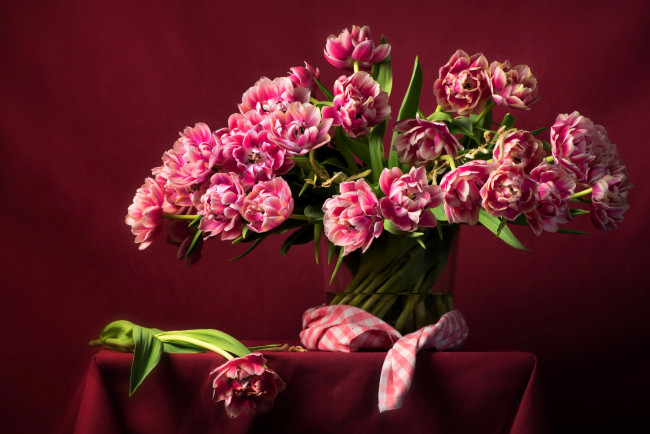 Обои картинки фото цветы, тюльпаны, розовые, банка, скатерть