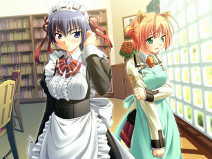 Картинка аниме *unknown другое