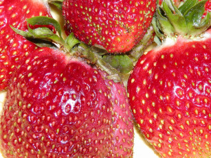 Картинка еда клубника земляника