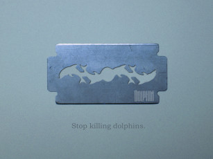 обоя музыка, дельфин