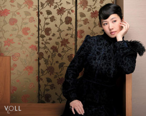 обоя voll, бренды