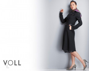 Картинка voll бренды