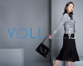 Картинка voll бренды