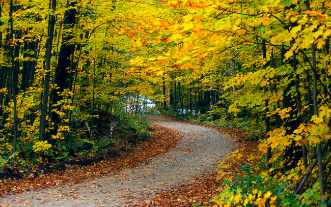 Обои картинки фото природа, дороги