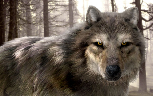 Обои картинки фото рисованные, животные, волки