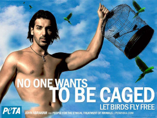 Картинка бренды peta people for the ethical treatment of animals