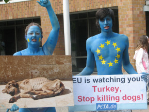 Картинка бренды peta people for the ethical treatment of animals