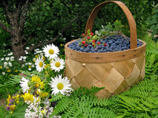 Картинка еда фрукты ягоды