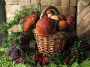 Картинка еда грибы грибные блюда