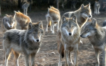 Картинка 3д графика animals животные