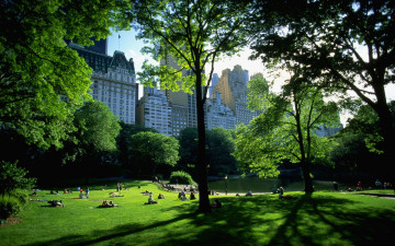 Картинка города улицы площади набережные