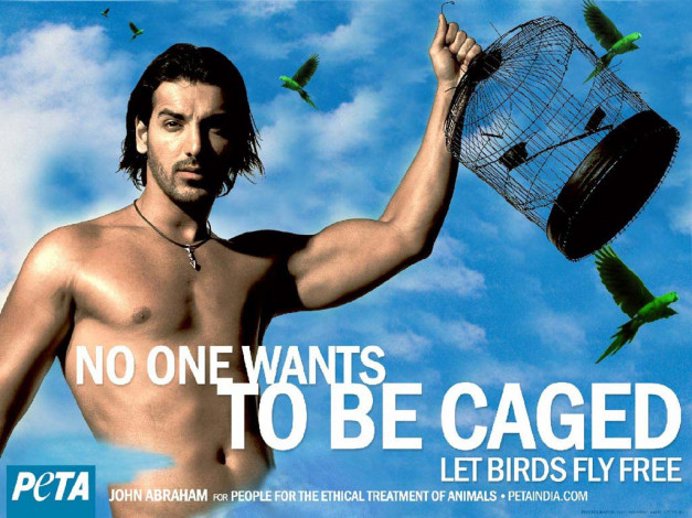 Обои картинки фото бренды, peta, people, for, the, ethical, treatment, of, animals