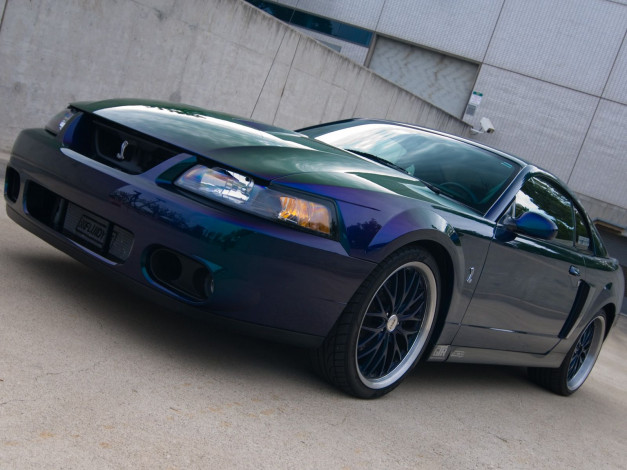 Обои картинки фото автомобили, mustang, ford