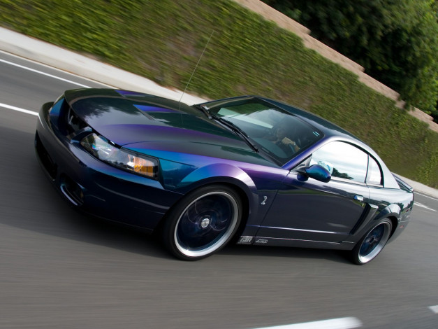 Обои картинки фото автомобили, mustang, ford